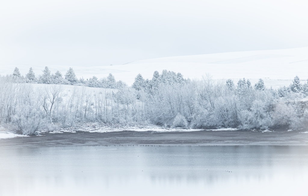 Winter - Bennington Lake